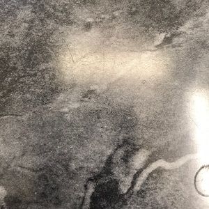 Meet your Posher, Sylvia